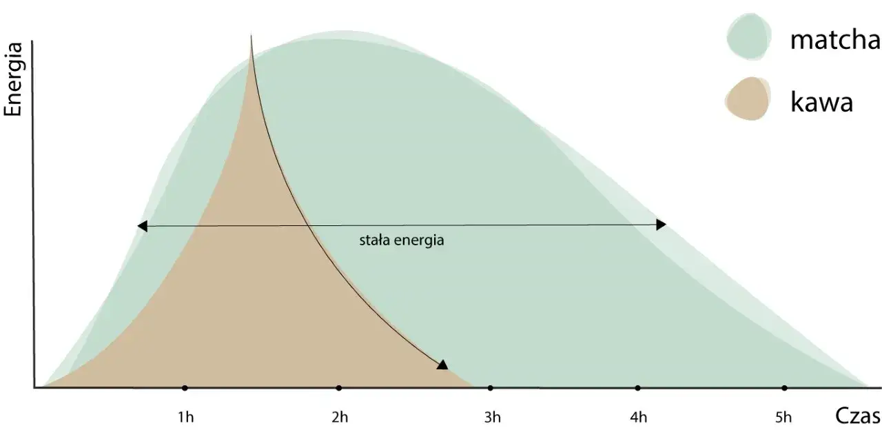 Matcha vs kawa kofeina por&oacute;wnanie