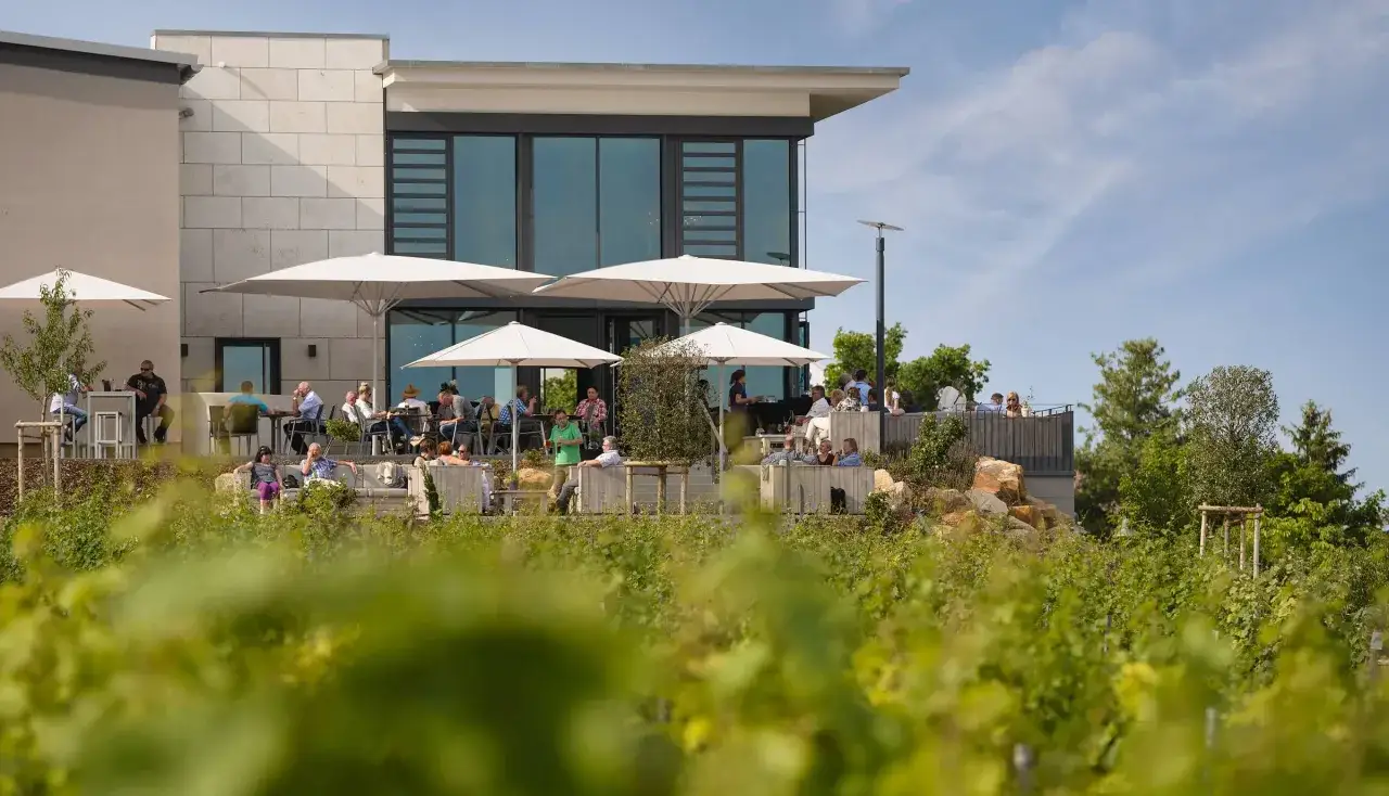 Vinothek Winzergenossenschaft Herxheim am Berg