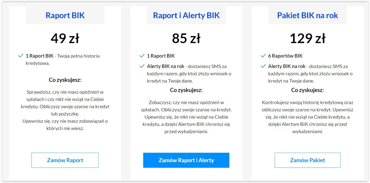 raport bik przykładowy płatny darmowy porównanie