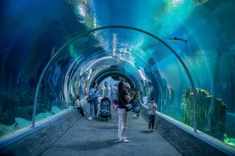 Orientarium ZOO Łódź wnętrze podwodny tunel