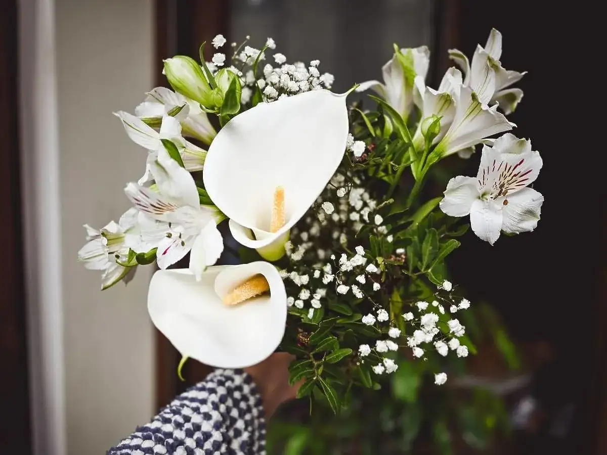 Białe kwiaty kalii i alstremerii tworzą elegancki bukiet, ozdobiony drobnymi białymi kwiatuszkami.