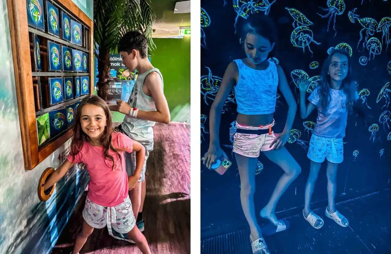 Zdjęcie Oceanarium węgry - najlepsze atrakcje i tajemnice w Budapeszcie