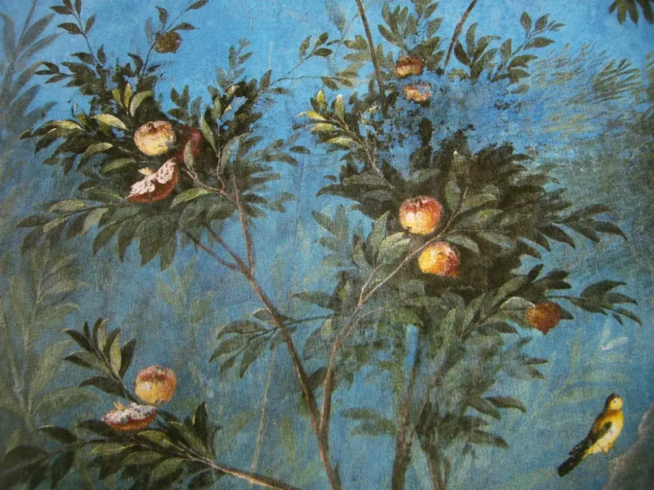 Zdjęcie Znaczenie symboli jabłoń w kulturze i mitologii – odkryj ich głębię