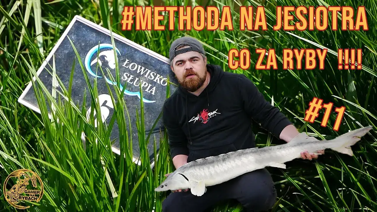 Zdjęcie Słupia łowisko: idealne miejsce na wędkowanie z dużymi karpiami