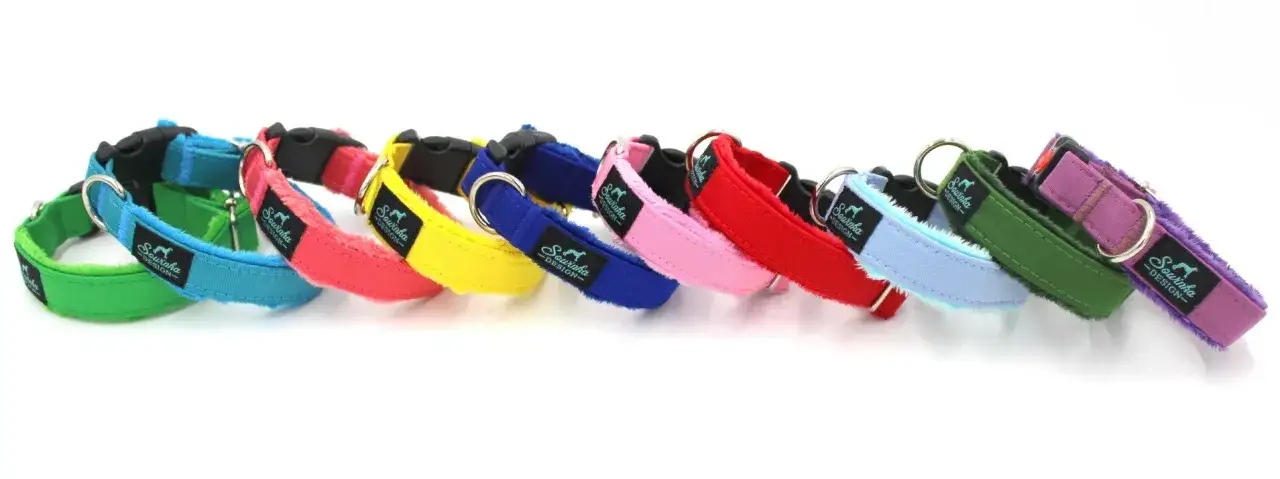 Zdjęcie Obroże dla szczeniąt: jakie są najlepsze i na co zwrócić uwagę przy wyborze?