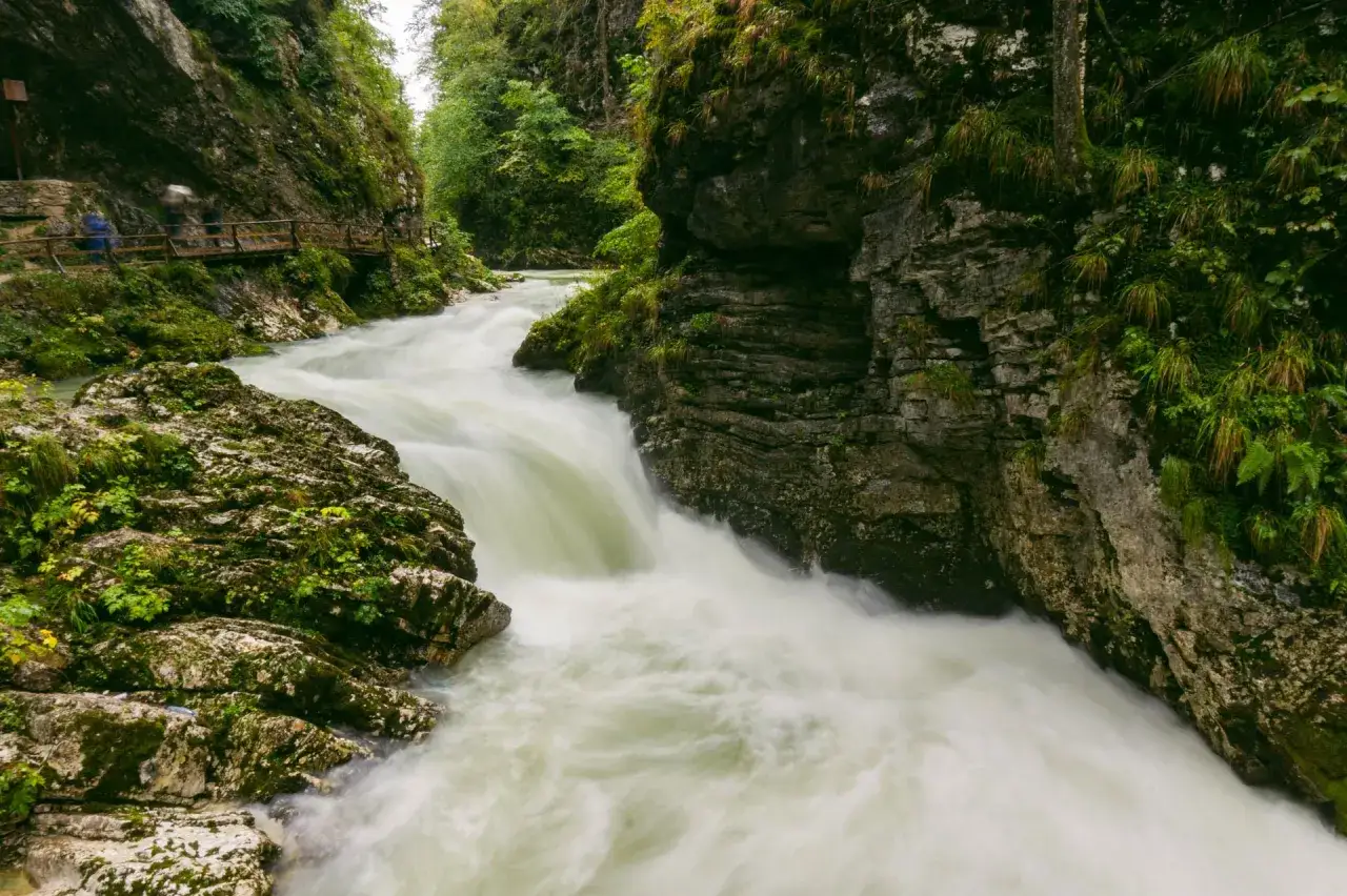 Wąw&oacute;z Vintgar: rwąca rzeka przepływa przez skaliste ściany porośnięte zielenią, a drewniana kładka wije się wzdłuż brzegu.