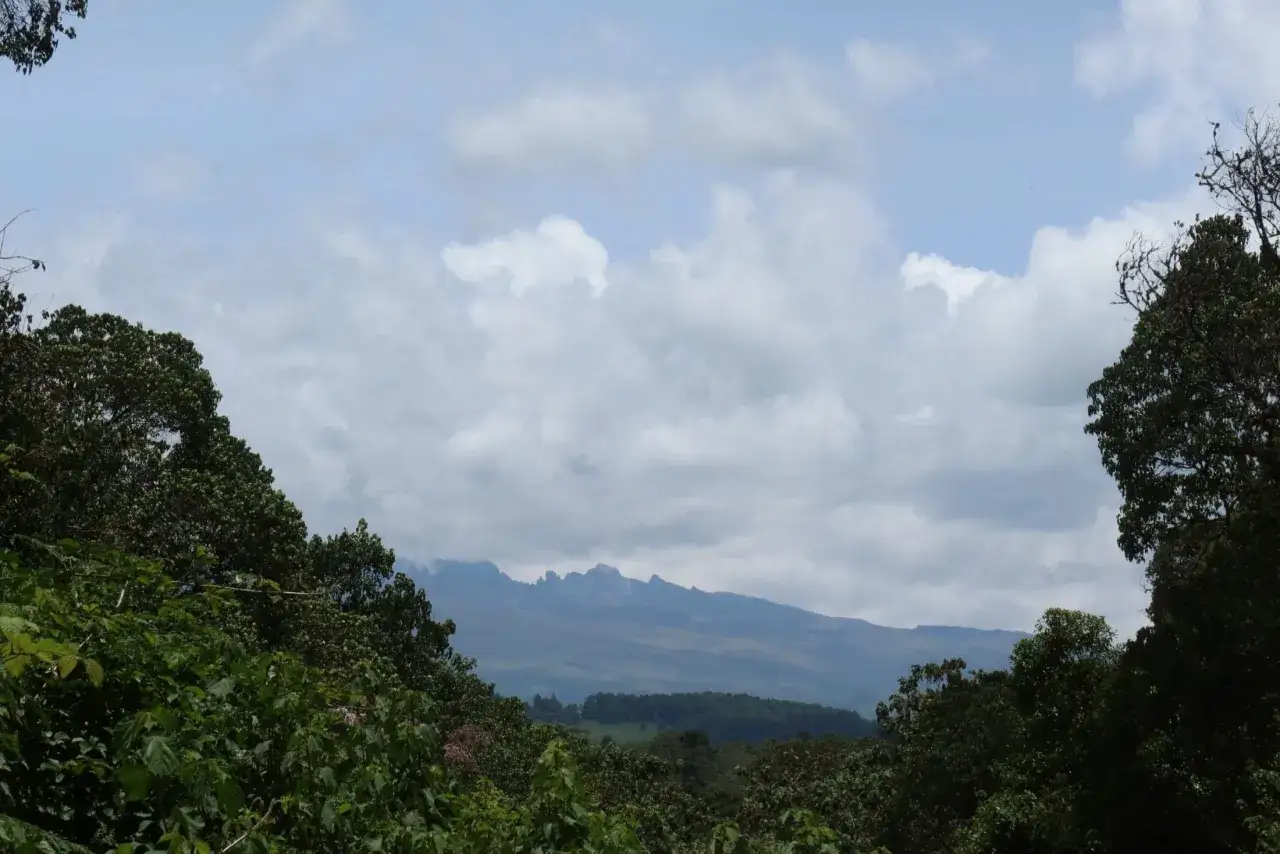 Widok na najwyższy szczyt Kenii, otoczony bujną zielenią i chmurami.