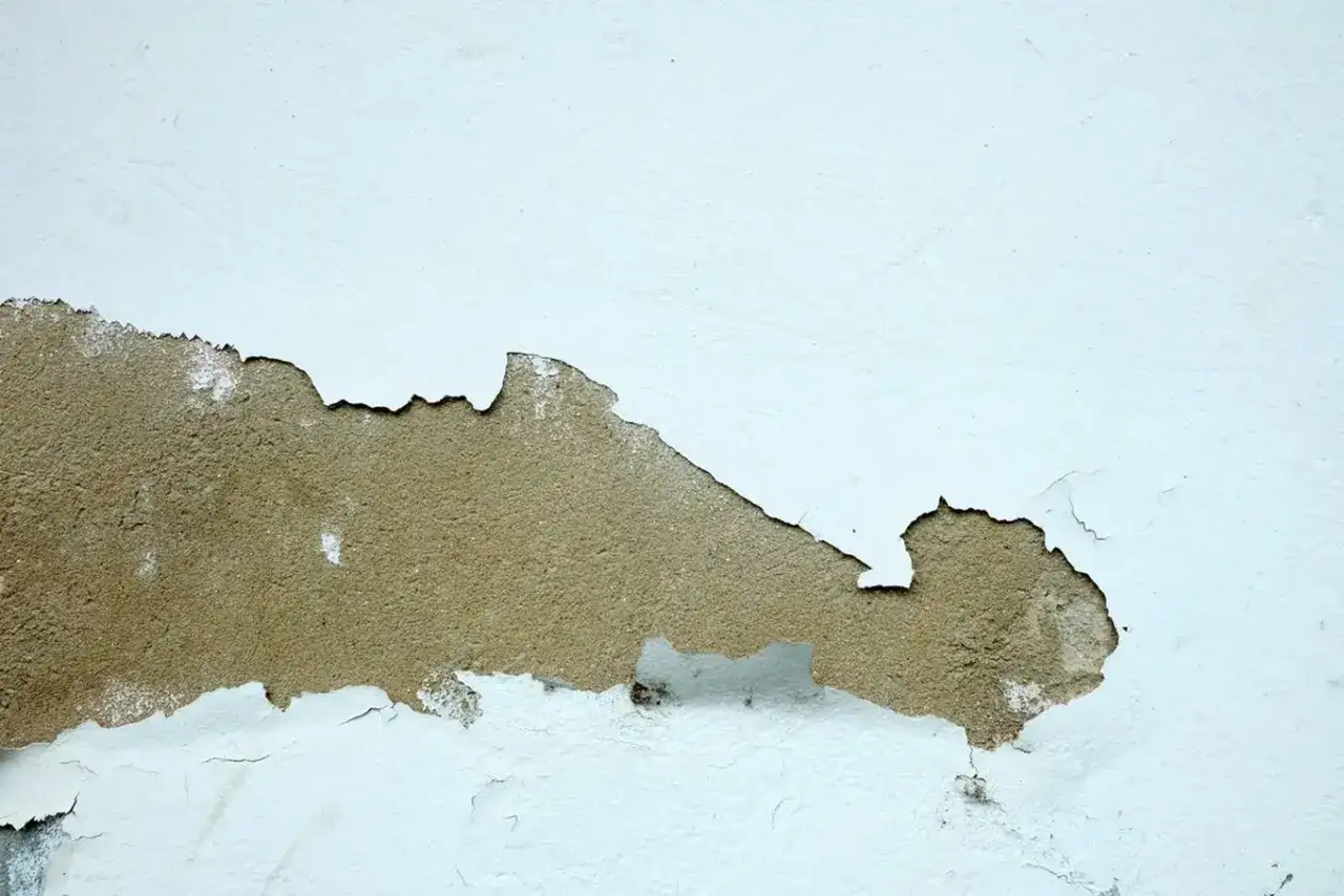 Farba odchodzi przy malowaniu wałkiem, odsłaniając surowy tynk. Pęknięcia i łuszczące się płaty białej farby tworzą nieregularny wz&oacute;r.