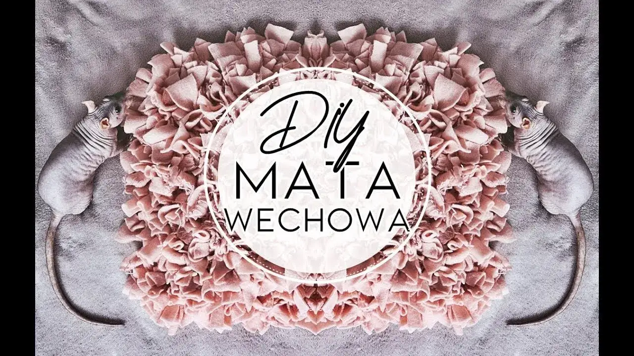 mata węchowa dla szczura DIY