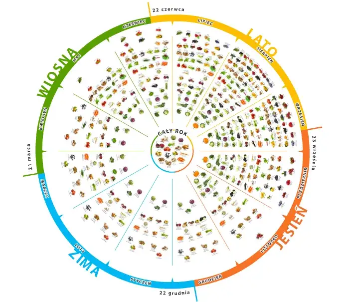 Kalendarz sezonu na truskawki w Polsce