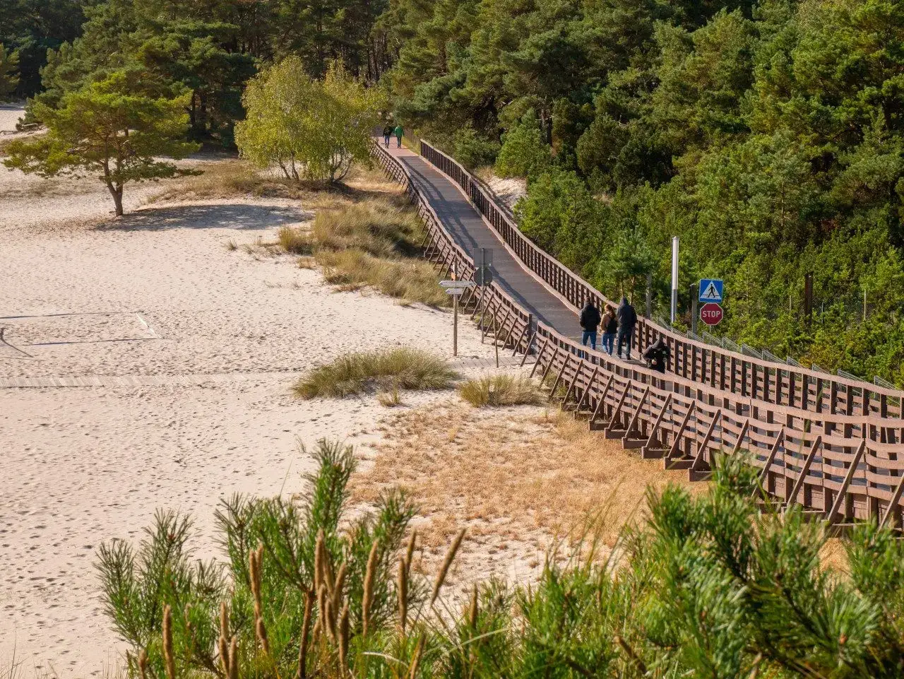 Drewniana kładka prowadzi przez piaszczyste wydmy w miejscowościach obok Ustki. Ludzie spacerują wśród sosnowego lasu.