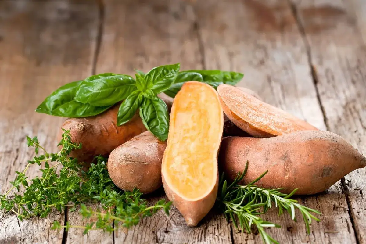 tabela porównawcza bataty ziemniaki wartości odżywcze