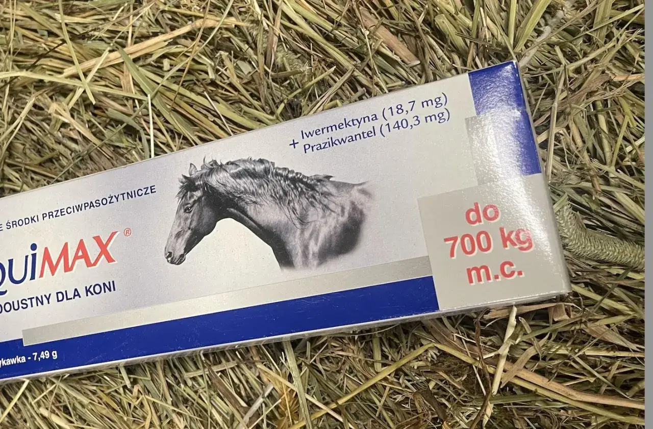 Opakowanie preparatu QuiMAX dla koni, zawierające ivermectynę i prazikwantel. Cena odrobaczania konia zależy od wagi, ten preparat jest do 700 kg.