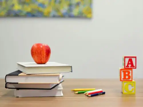 Ustawa o systemie oświaty znaczenie edukacja Polska