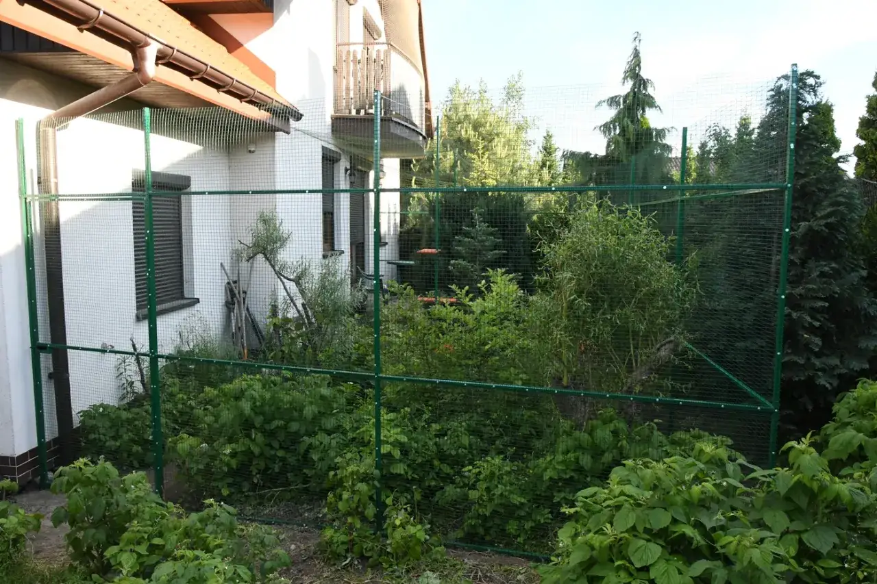 Zielone ogrodzenie dla kota otacza dom i bujną zieleń, tworząc bezpieczną przestrzeń do zabawy.