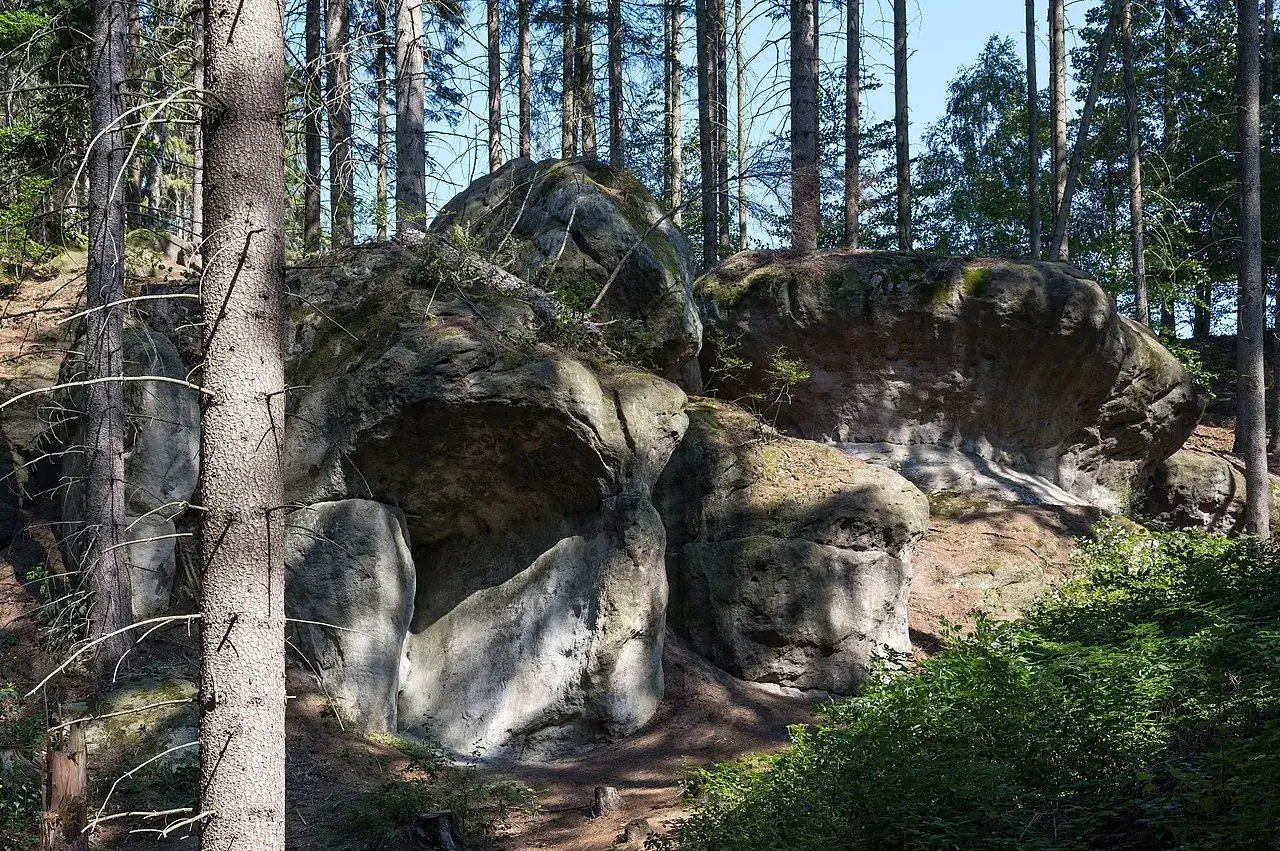 W lesie stoją potężne głazy krasnoludk&oacute;w, porośnięte mchem i otoczone drzewami.