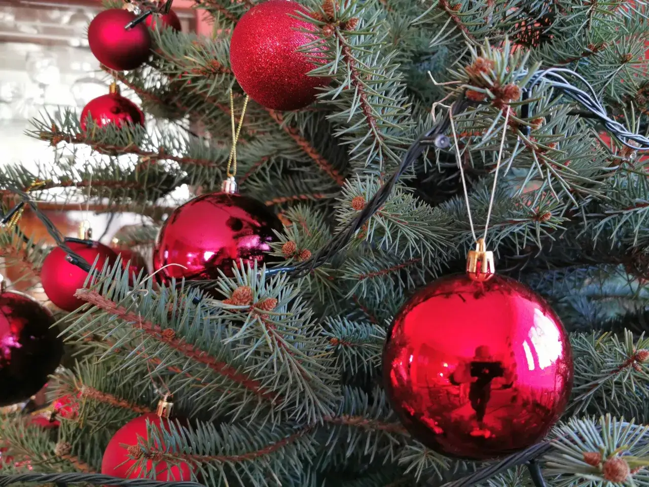 Zdjęcie Do kiedy choinka w kościele? Poznaj datę zakończenia świąt