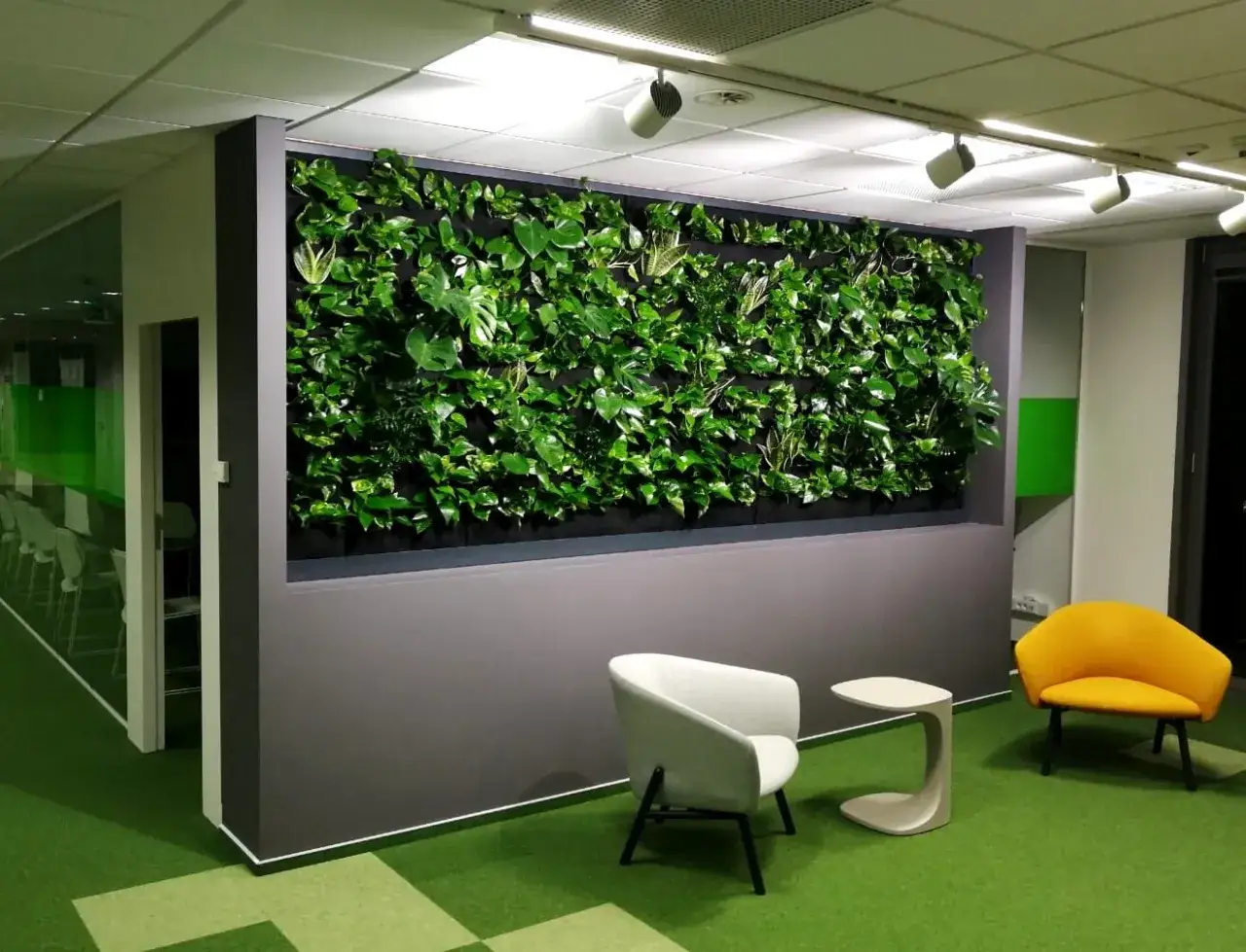 Zjawiskowa zielona ściana roślinności w nowoczesnym biurze. Obok niej wygodne fotele i stolik.