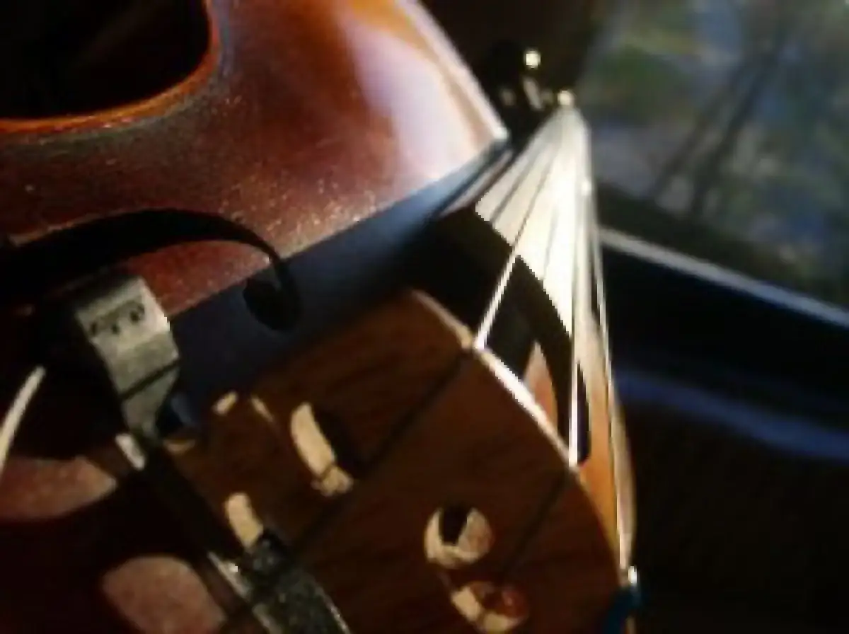 Zbliżenie na mostek wiolonczeli, gdzie widać cztery struny.