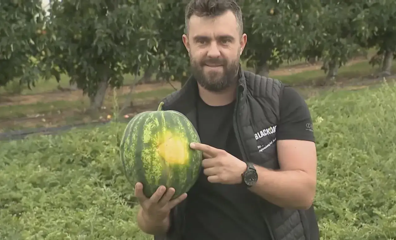 Mapa świata produkcja arbuz&oacute;w