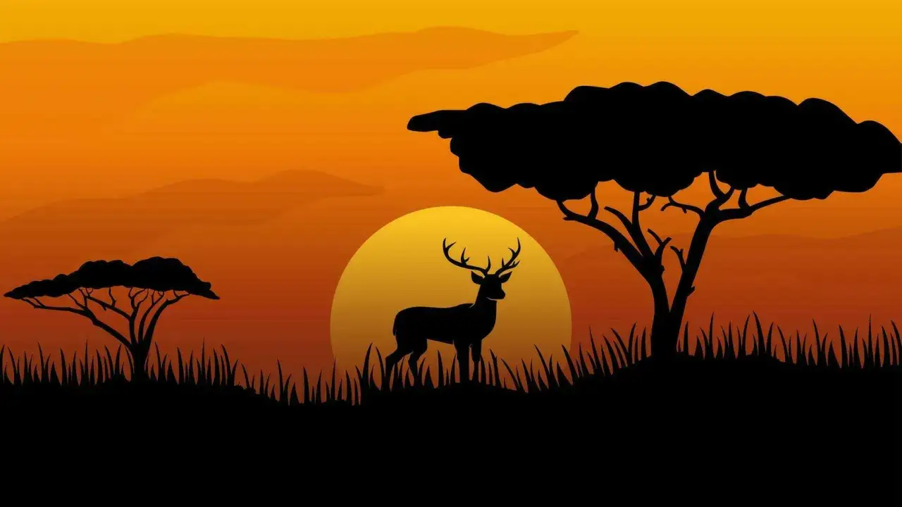 Afrykańska sawanna jest miejscem, gdzie jeleń z rogami stoi na tle zachodzącego słońca, otoczony akacjami i wysoką trawą.