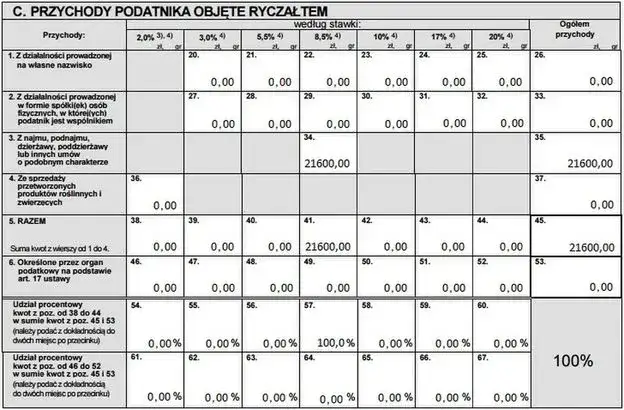 Wypełniony formularz PIT-28, instrukcja wypełniania PIT-28