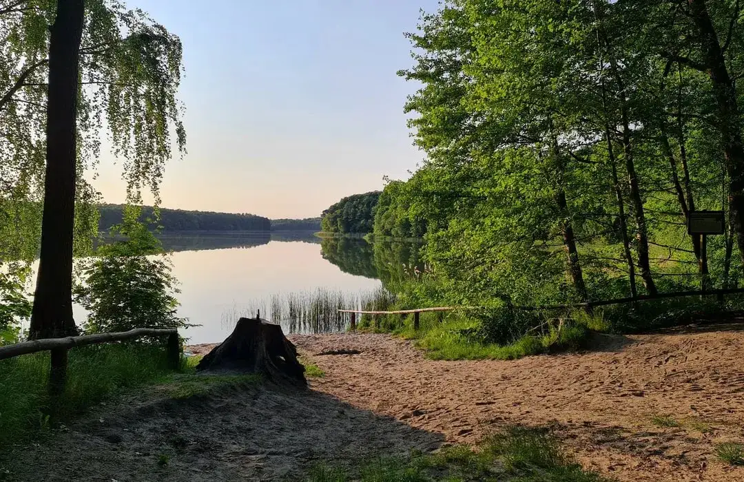 Birdwatching nad Jeziorem Gardno