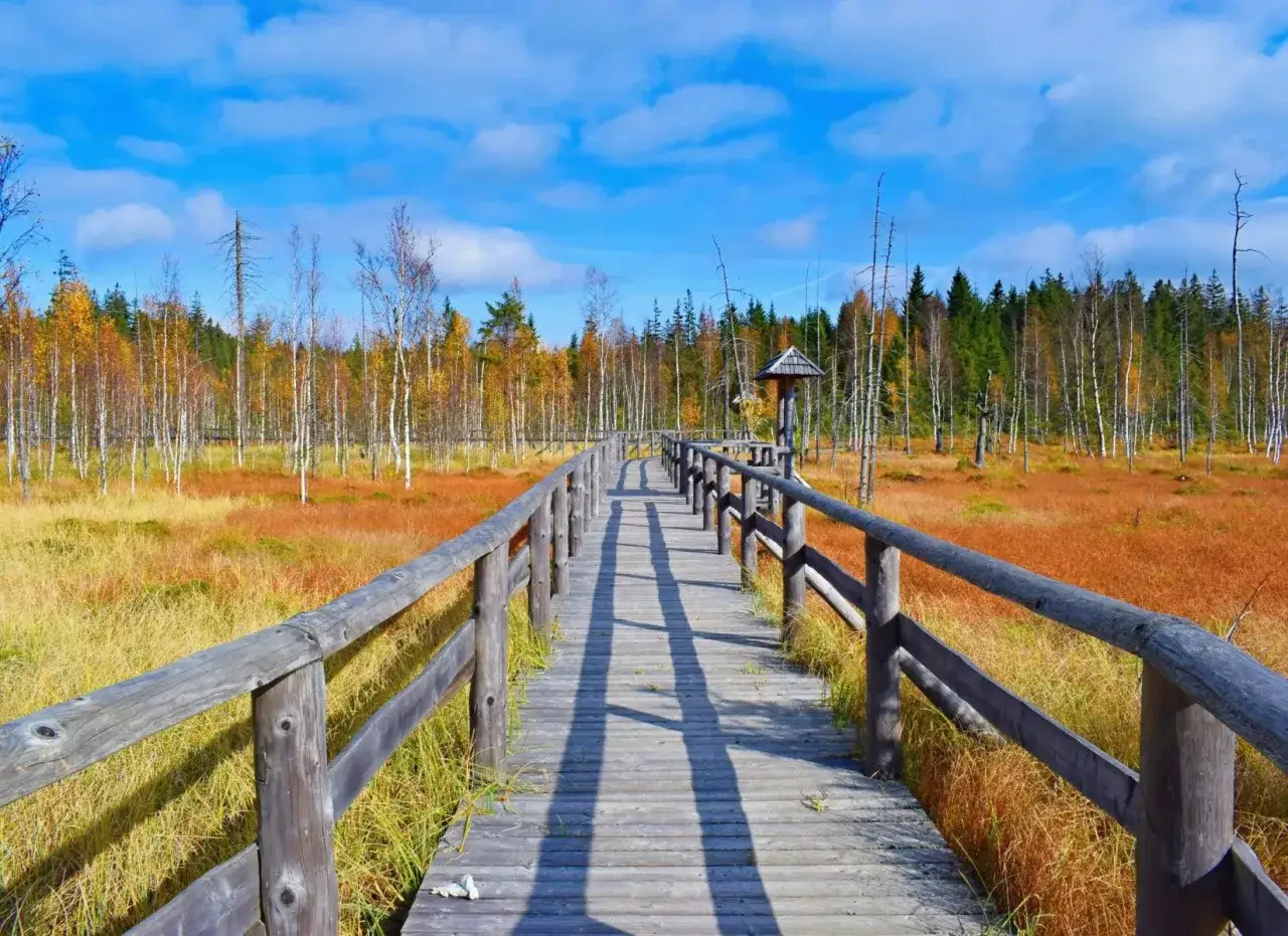 Duszniki Zdr&oacute;j krajobraz uzdrowiskowy g&oacute;ry