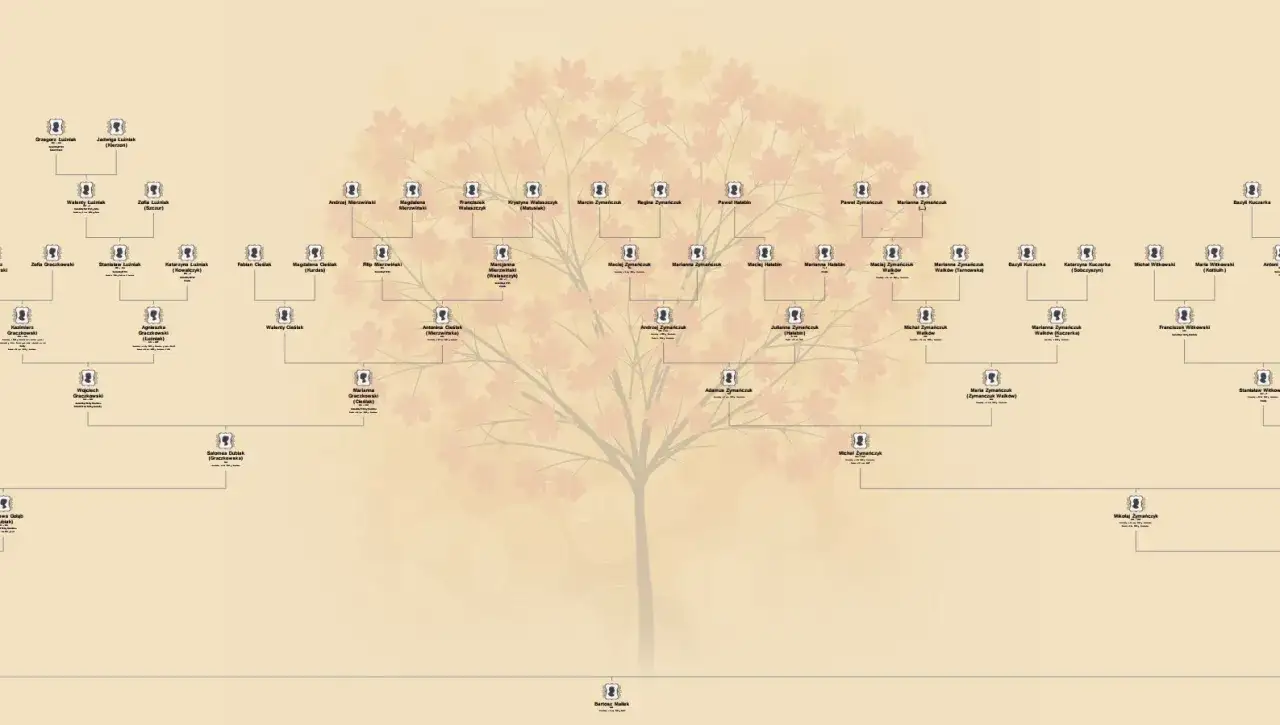 Drzewo genealogiczne pokazuje, jak działa genealogia co to. Widać tu wiele pokoleń i nazwisk, tworząc historię rodziny.