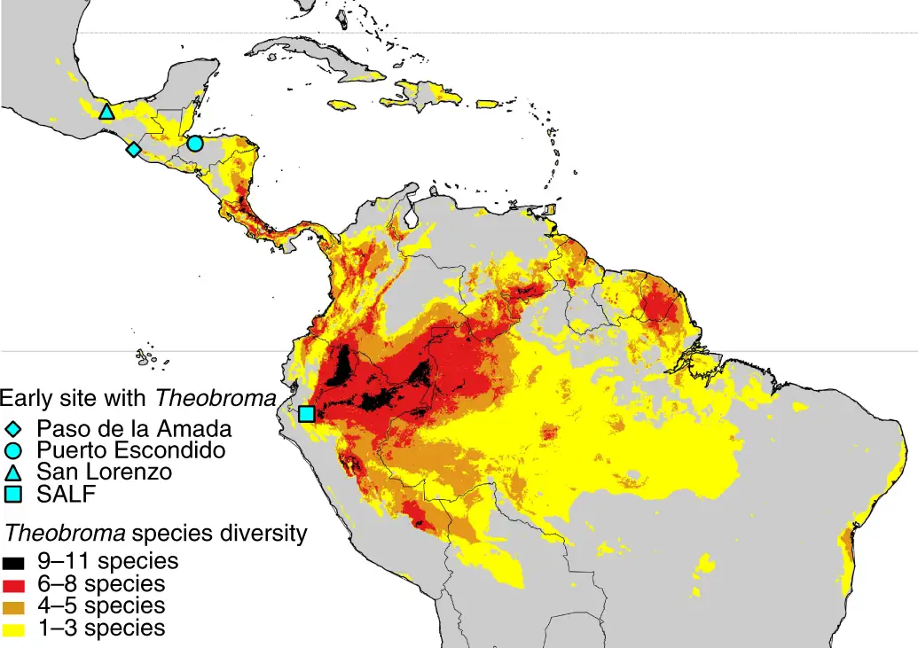 Mapa pasa kakaowego Theobroma cacao