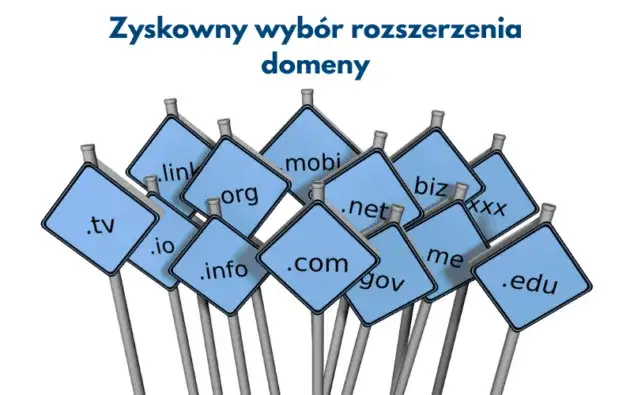 różne rozszerzenia domen, alternatywne końcówki domen
