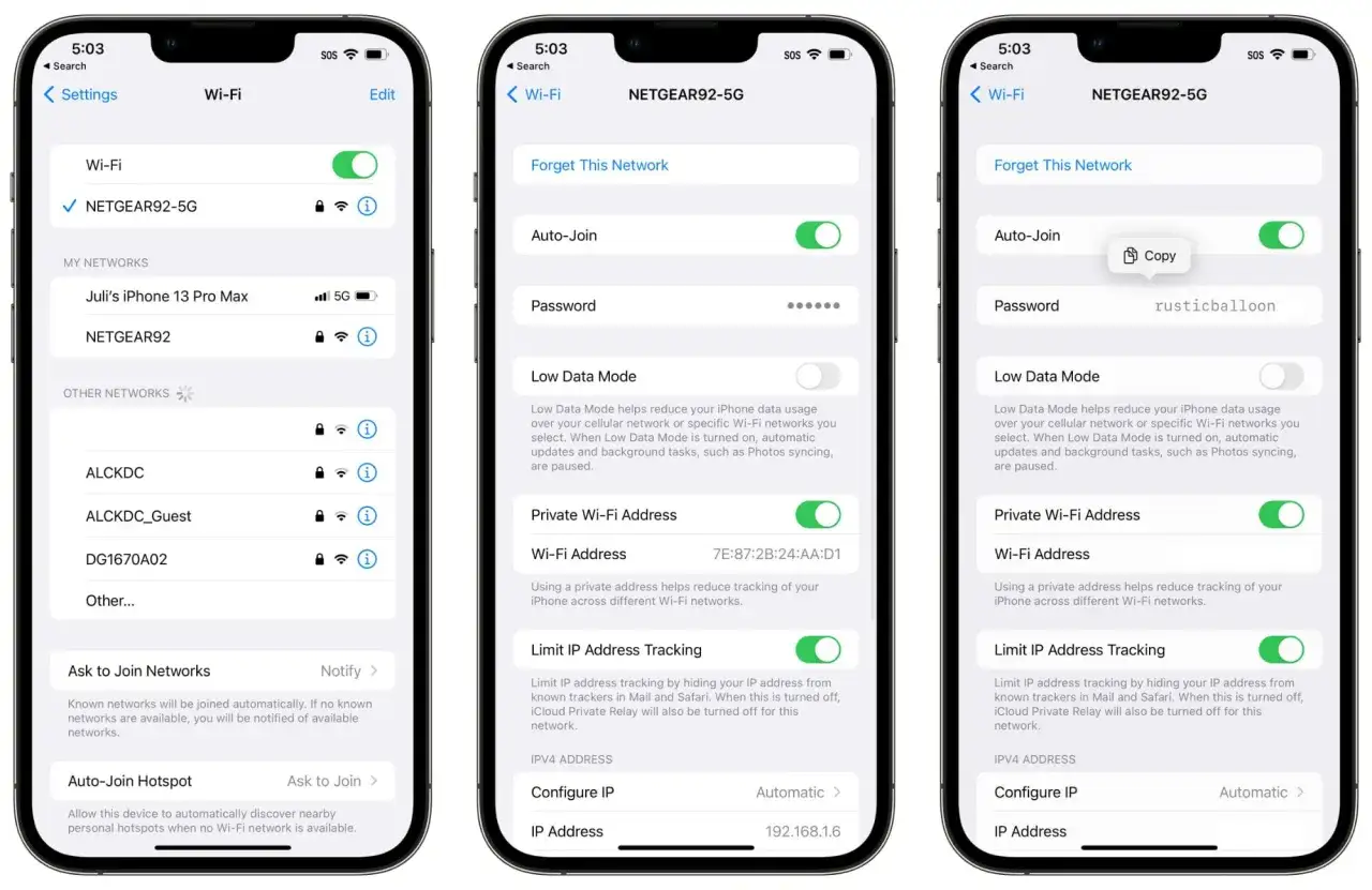iOS 16 Wi-Fi password display