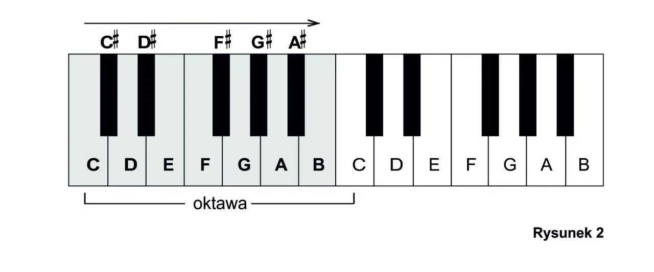 Fragment klawiatury pianina z zaznaczonymi nazwami klawiszy: C, D, E, F, G, A, B oraz ich podwyższeniami (krzyżykami). Pokazuje jedną oktawę.
