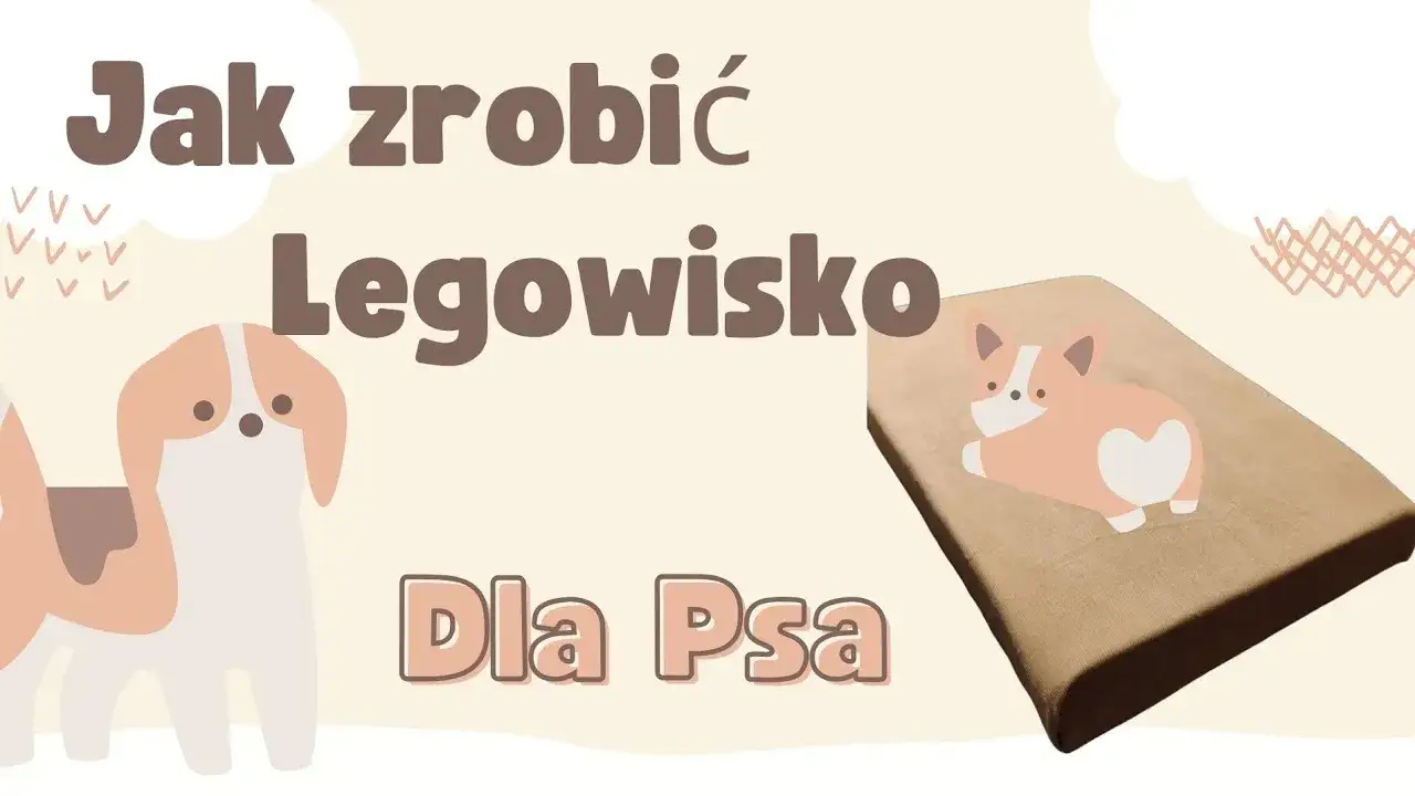 legowisko dla psa z koca bez szycia DIY