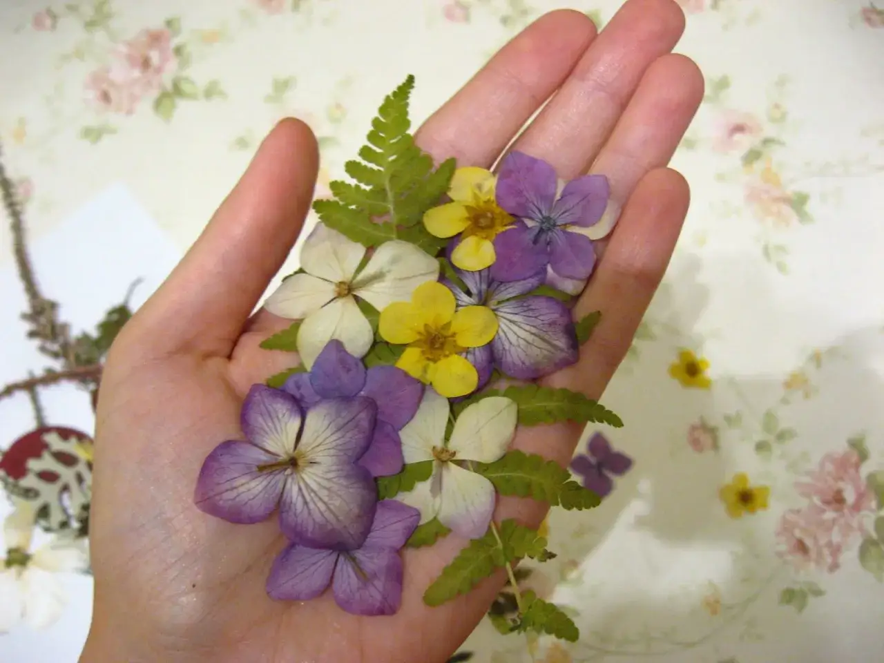 kwiaty do suszenia na płasko