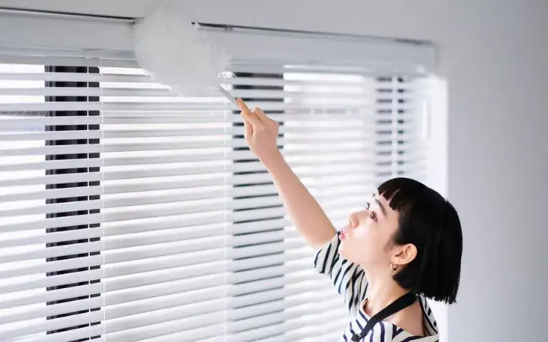 Odkurzanie rolety z miękką szczotką