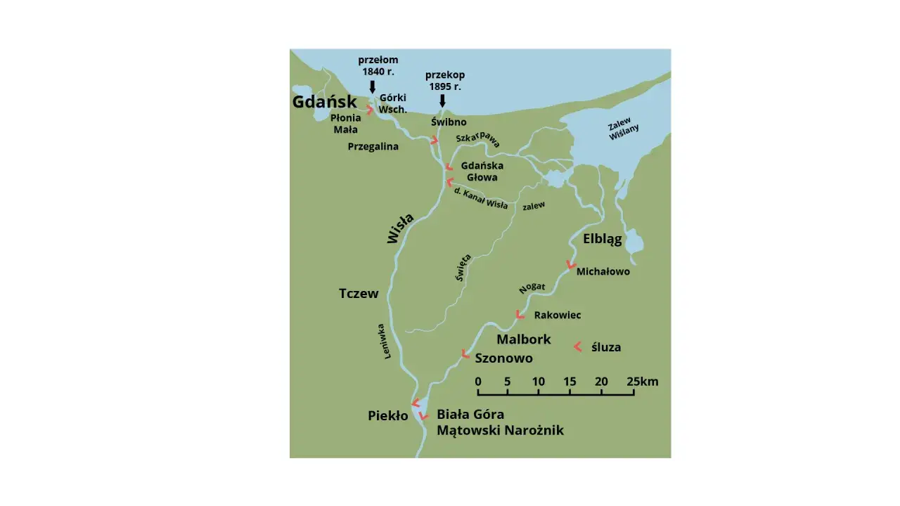 Delta rzeki Wisły