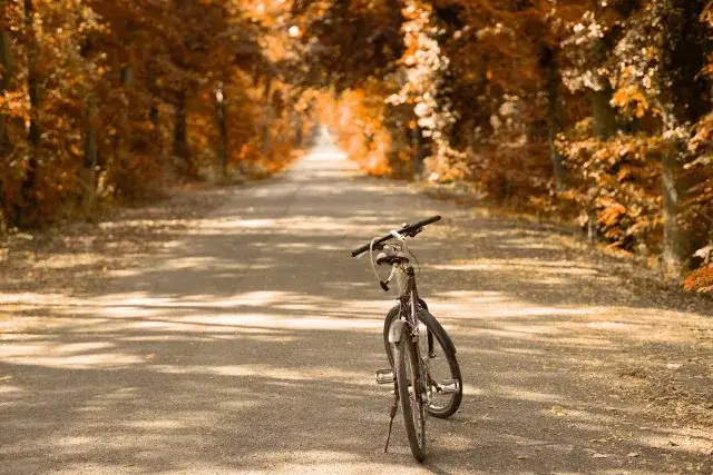 szlak rowerowy lasy w okolicach Jelcza-Laskowic