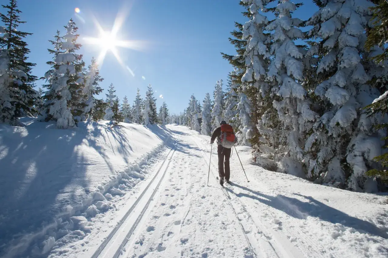 Bieszczady narty biegowe zimą