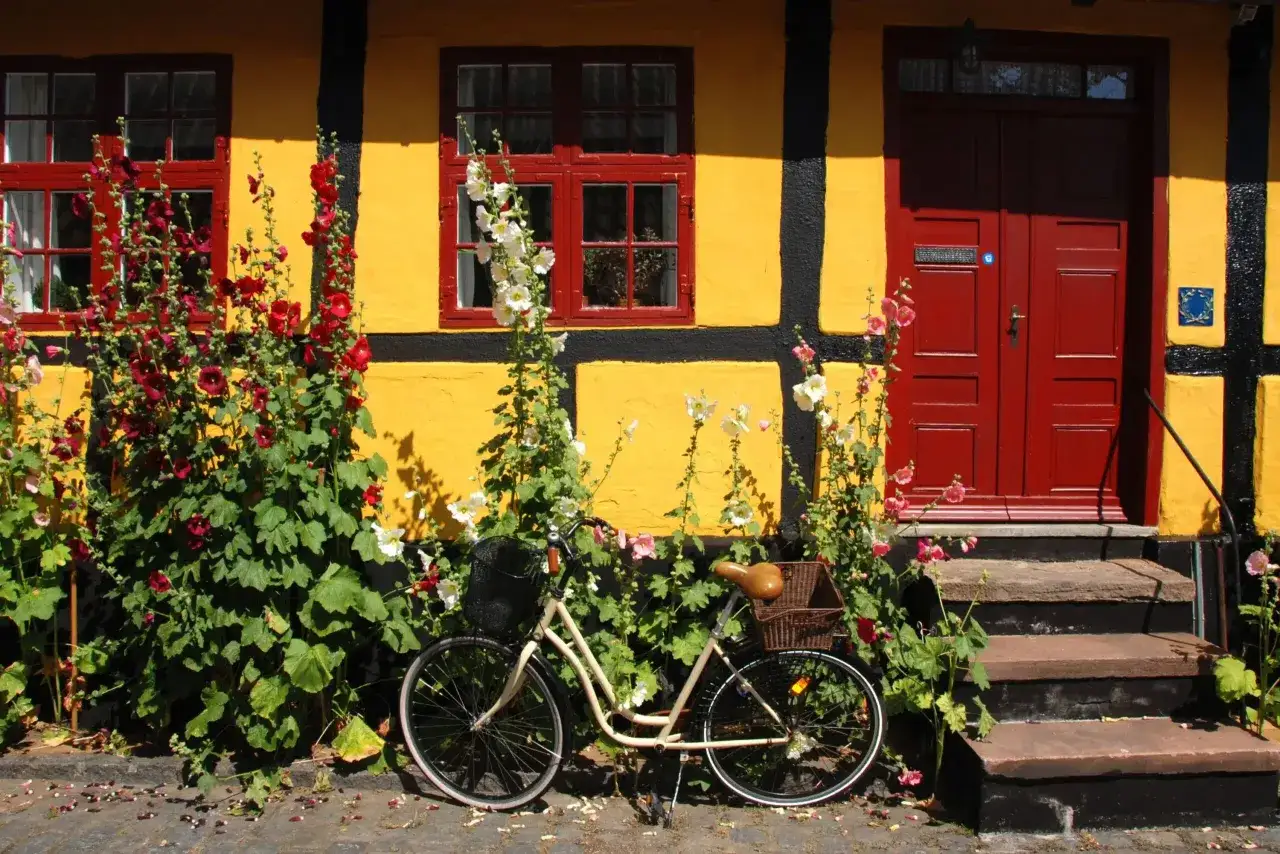 Urokliwy zakątek na duńskiej wyspie na Bałtyku. Żółty dom z czerwonymi oknami i drzwiami, porośnięty malwami. Obok rower z wiklinowym koszykiem.