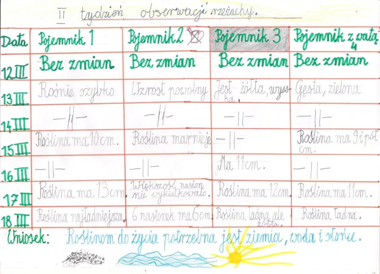 dziennik obserwacji wzrostu rośliny