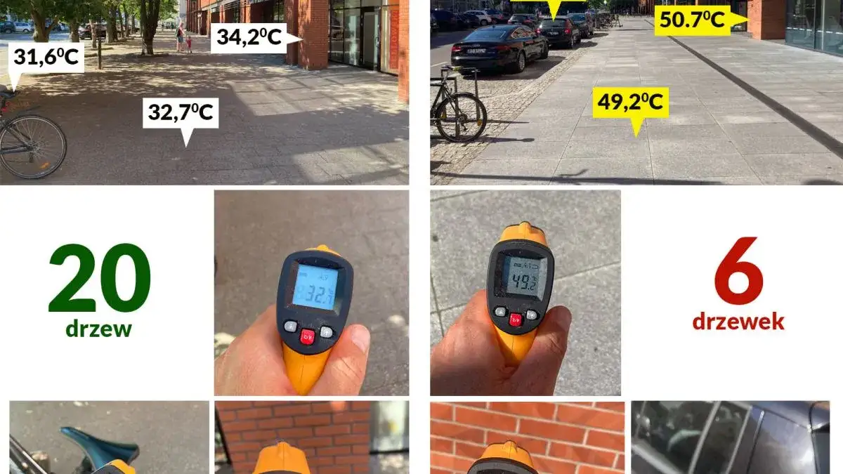 mem ile stopni w radomiu