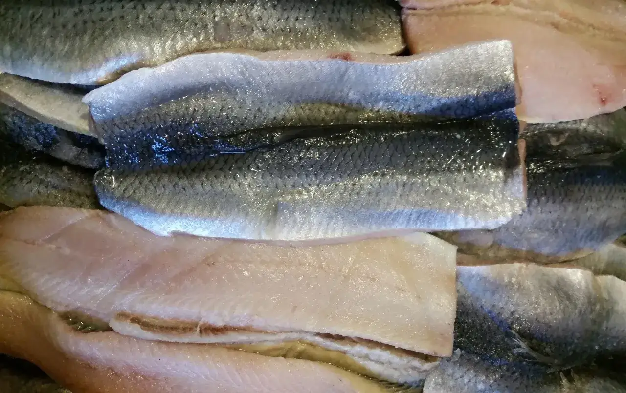 Świeże filety rybne, gotowe na pyszny obiad. Zastanawiasz się, jaka ryba na obiad? Te wyglądają apetycznie!