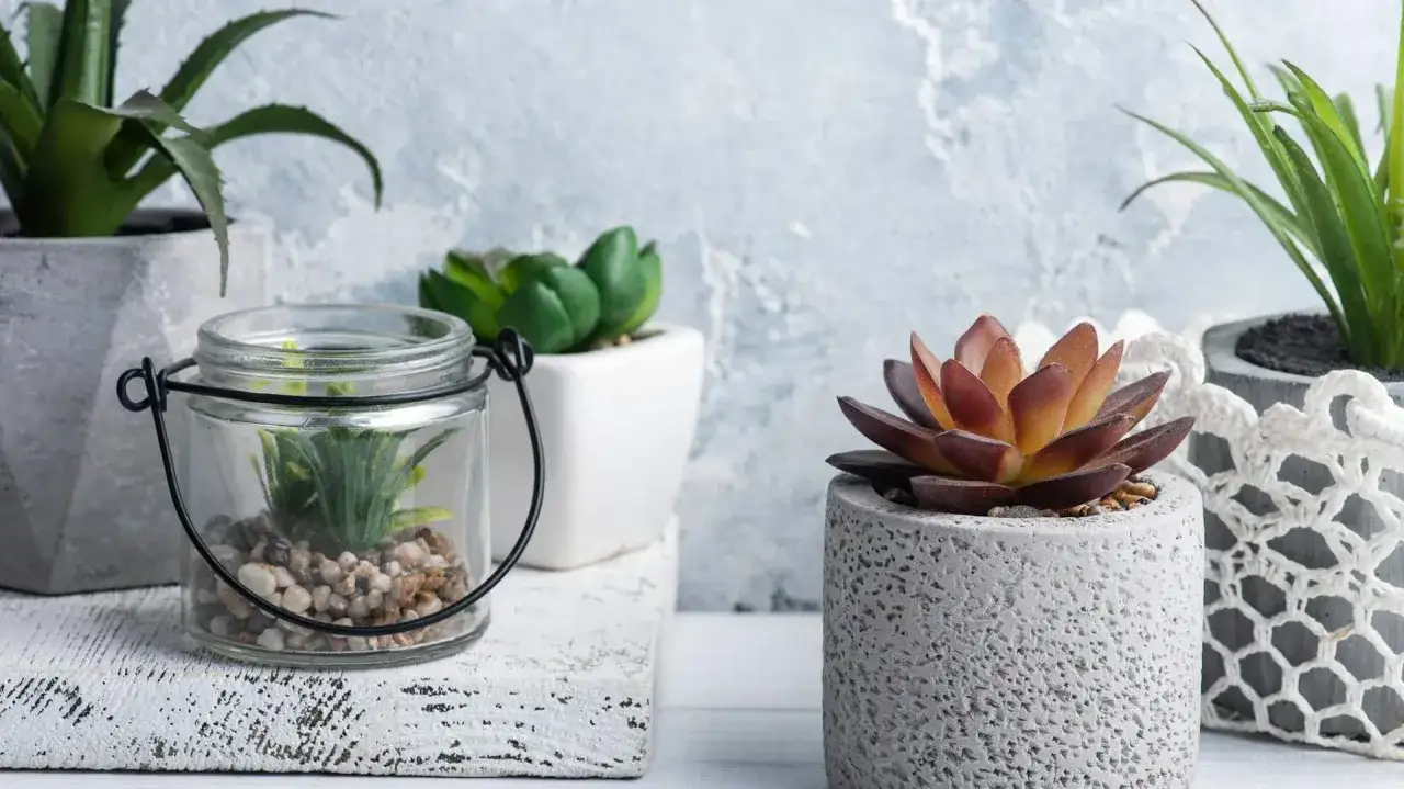 Inspiracja na doniczkę z gipsu: sukulenty w betonowych i szklanych pojemnikach.