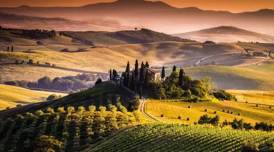Vigneti Chianti Toscana