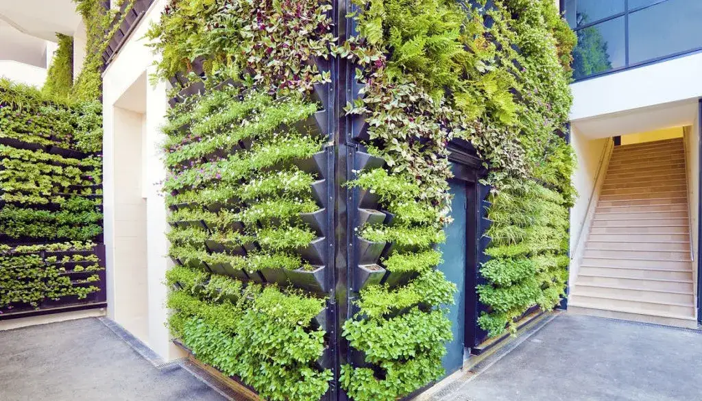 planowanie ogrodu wertykalnego