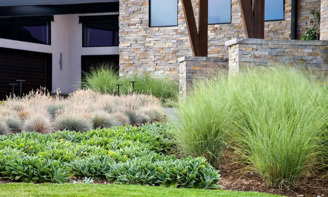 Piękne trawy ozdobne aranżacje tworzą dynamiczny krajobraz przed nowoczesnym budynkiem.