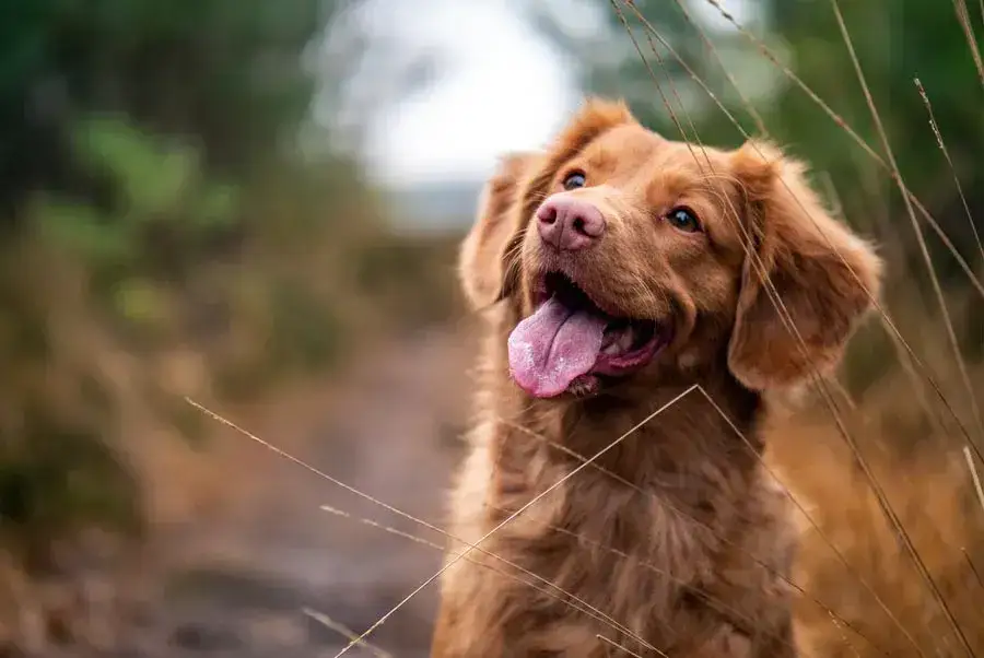 przykładowe zdjęcia obiektywem Canon 75-300mm