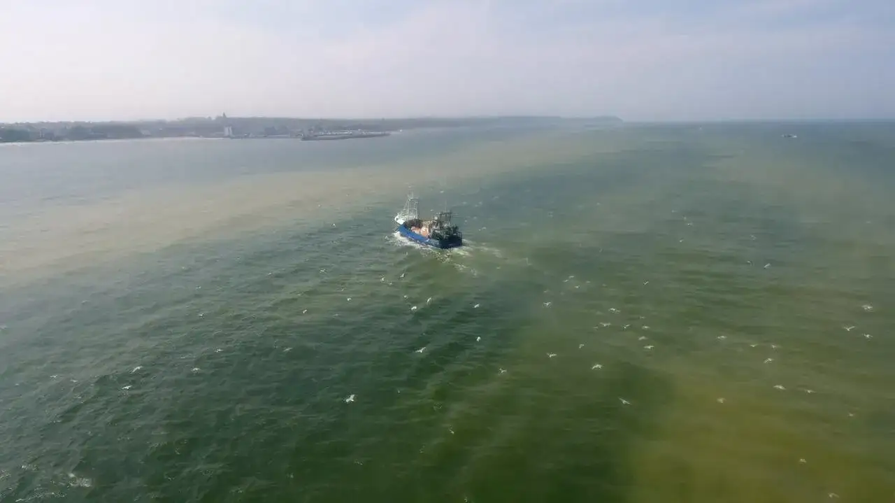 Zdjęcie Jak długo kwitnie woda w jeziorze? Poznaj zaskakujące fakty o zakwitach