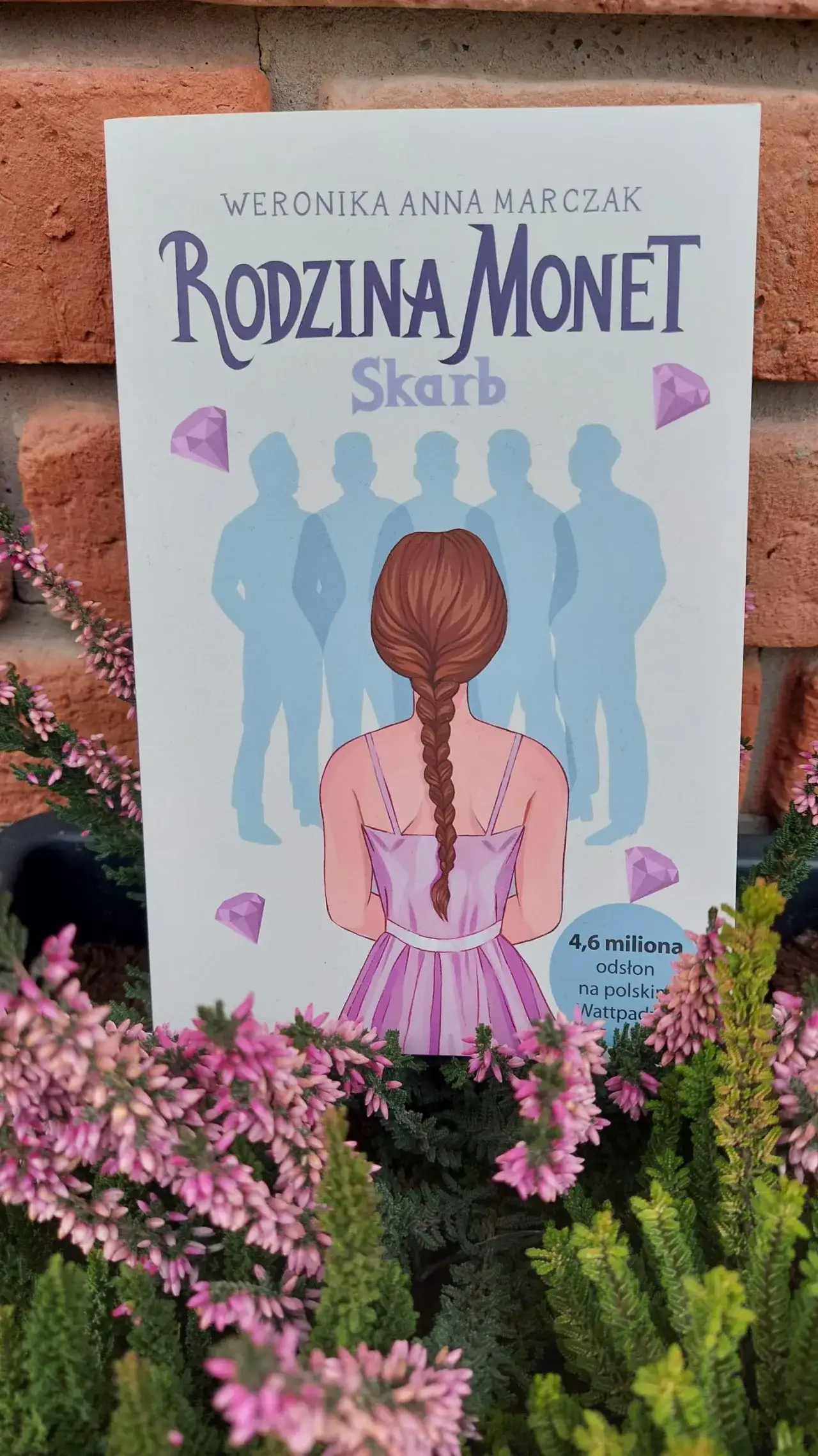 Zdjęcie Książka Rodzina Monet o czym jest streszczenie, wątki i tematyka powieści